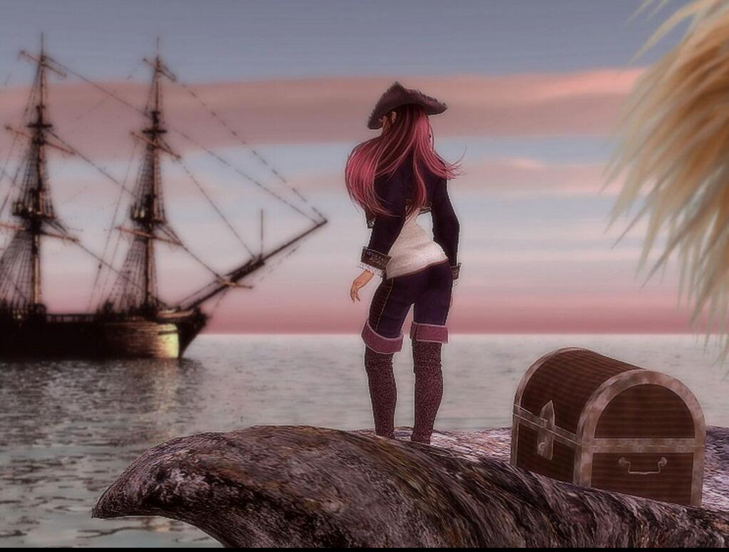 пиратка запускает стим фото 59