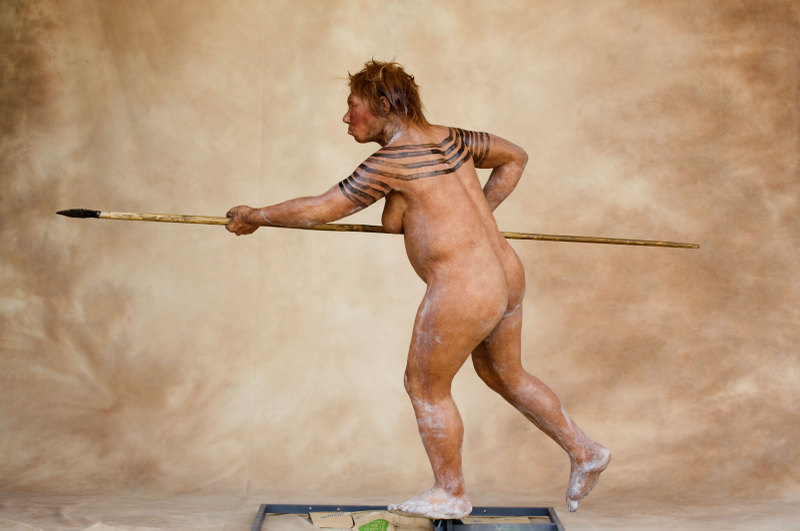 neanderthal-woman-x.jpg:800x531, 71k.