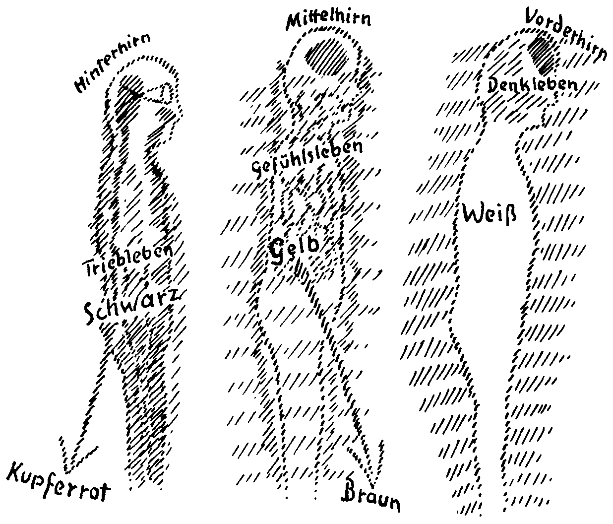 Р.Штейнер. Жизнь человека и жизнь Земли. Сущность христианства т.349 Пс