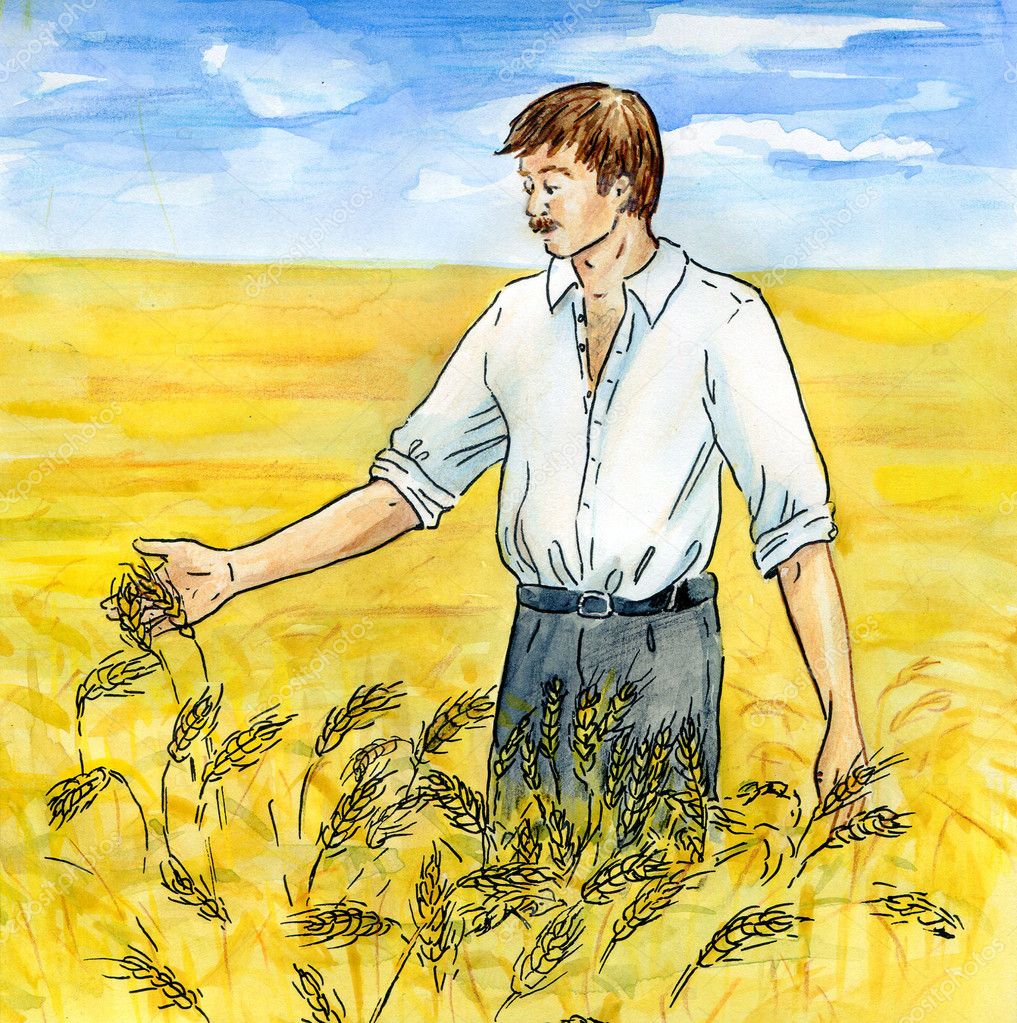 Иллюстрация на поле хлеборобы