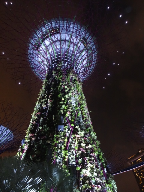 Gardens by the Bay [ .]
