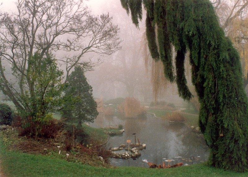 Осень в Женеве (ботанический сад). []