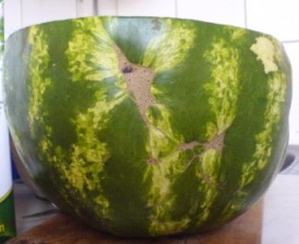Water-melon marks [Koree Key]