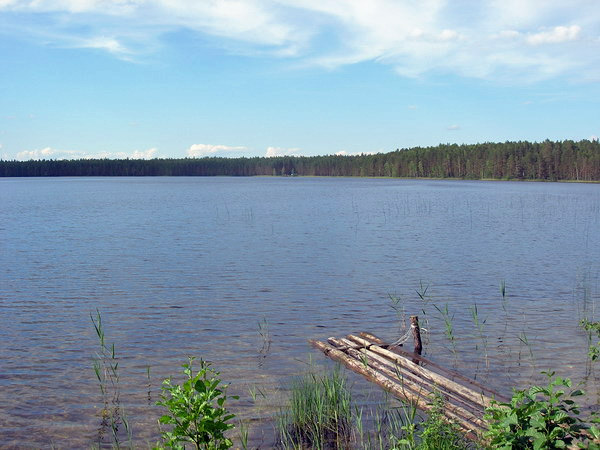  Озеро Светлое (Цинглокское)
