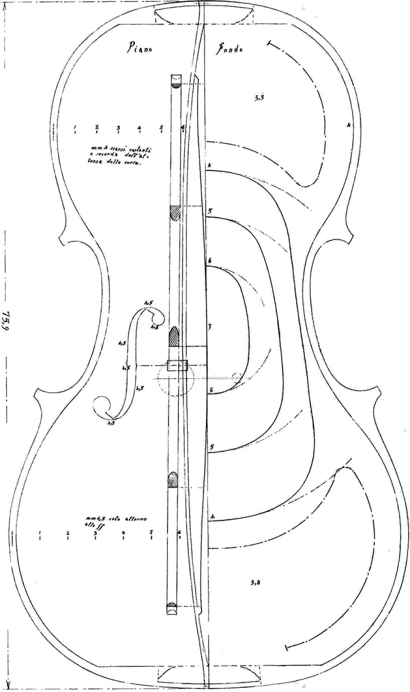 Строение скрипки Страдивари