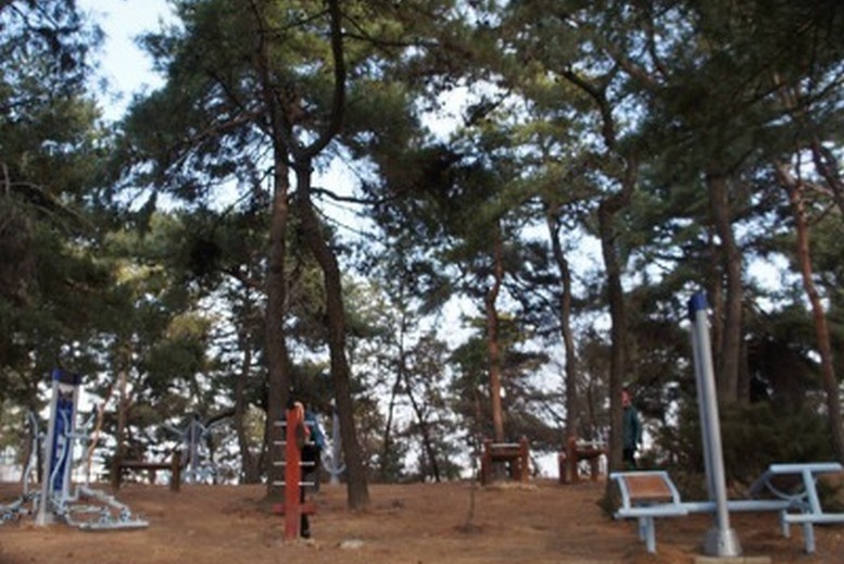 Фото Голой Студентки Облегающей Ствол Дерева На Территории Кампуса