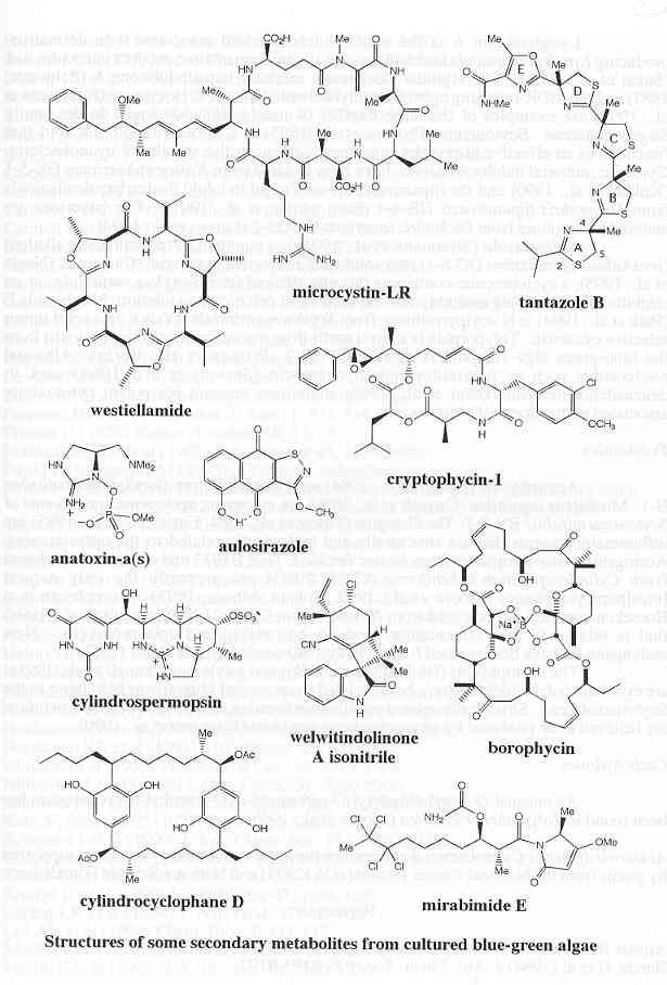 Structures of some metabolites from cultured blue-green algae [O.V.Mosin]