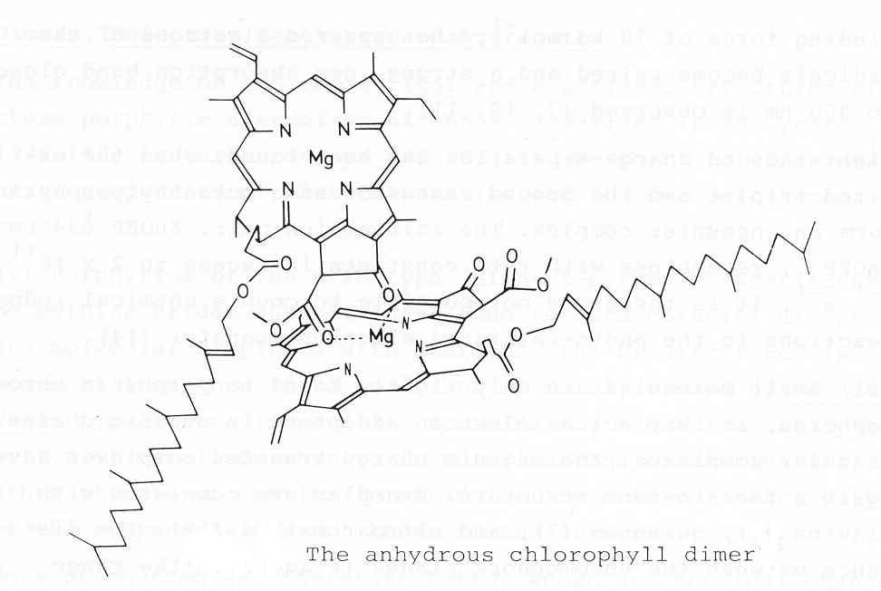 The anhydrous chlorophyl dimer [O.V.Mosin]