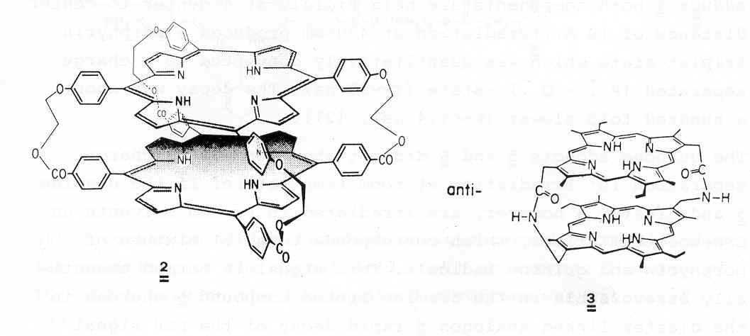 Chlorophyll dimers 2 and 3  [O.V.Mosin]