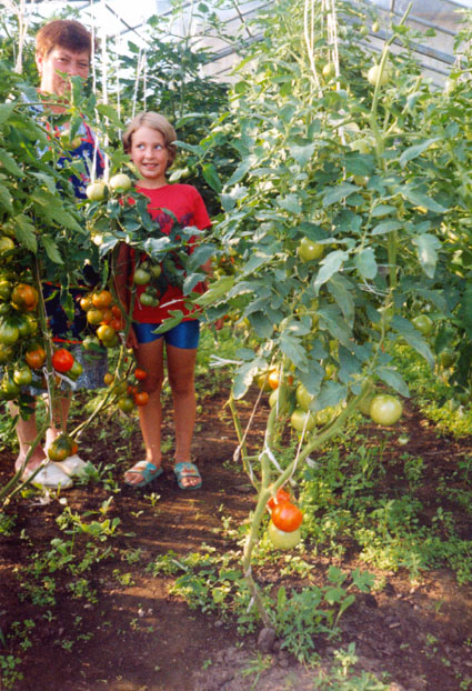 Август 2000 г. Надя с внучкой Викой на фоне созревающих помидор. Или наоборот? []
