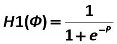Equazione 20 [  (Alexander A. Shemetev)]