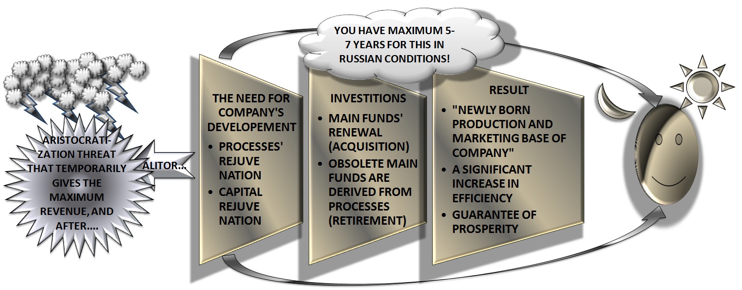 Scheme: investment cycle: how it transforms company and makes it more prosperous [Alexander Shemetev]