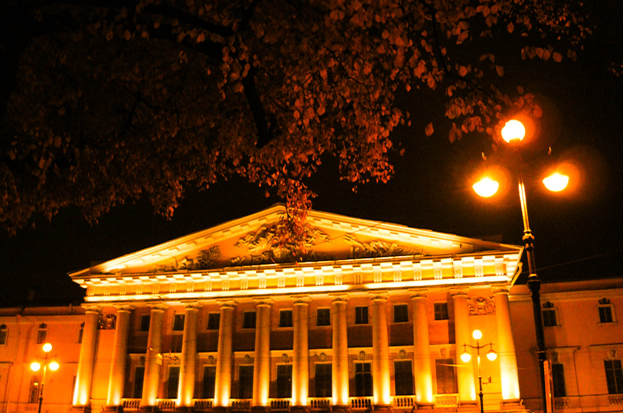 Senate house (Saint-Petersburg) [Alexander Shemetev]