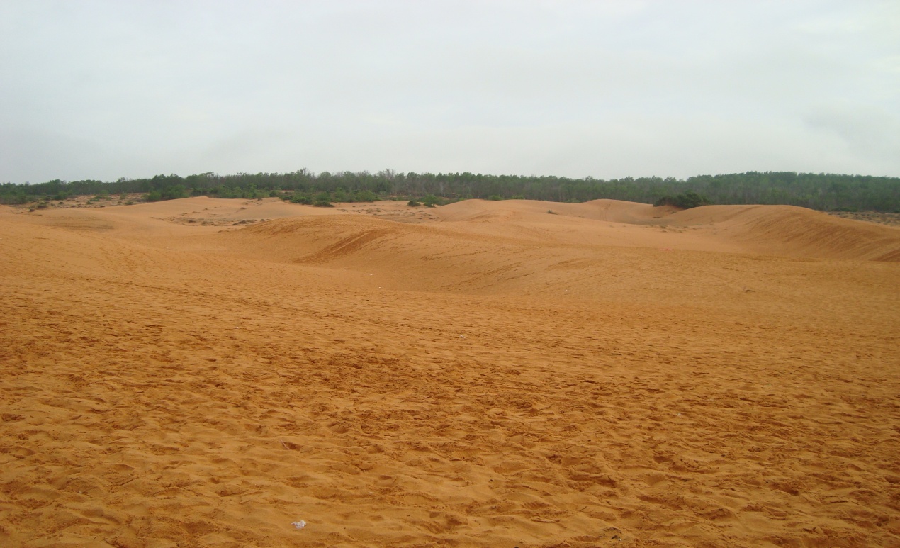 D:\   01.03.2022  !\\\DSC01369.JPG