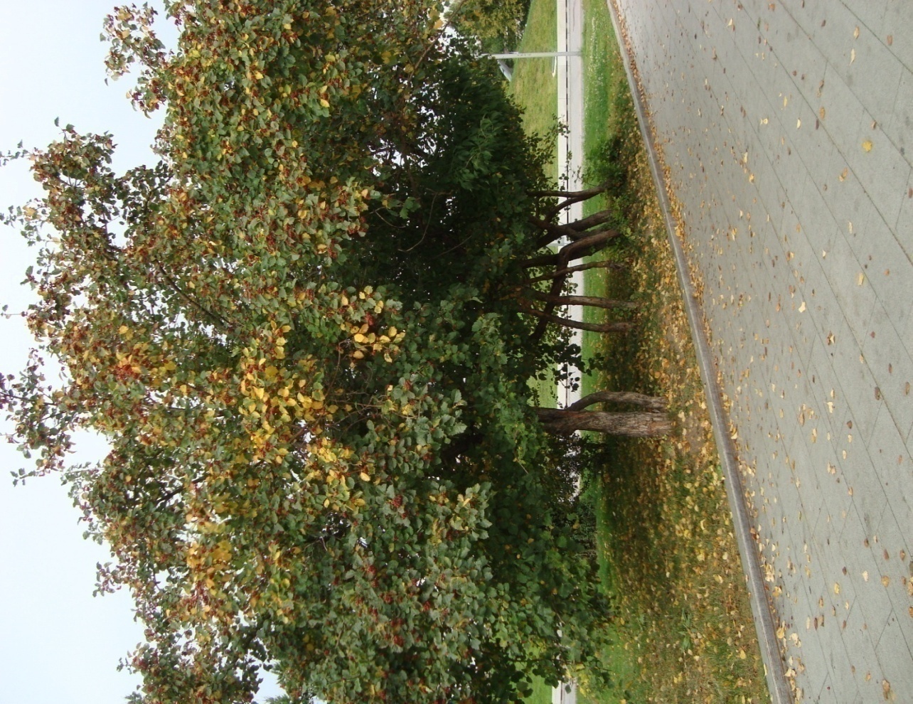 D:\   01.03.2022  !\  \ 2024\DSC05249.JPG