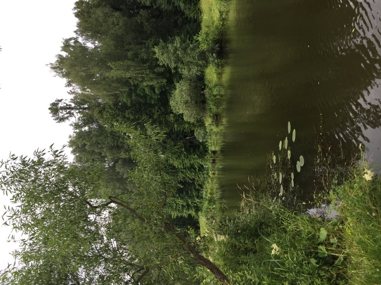 D:\   01.03.2022  !\ \ \   \ \IMG_2054.JPG