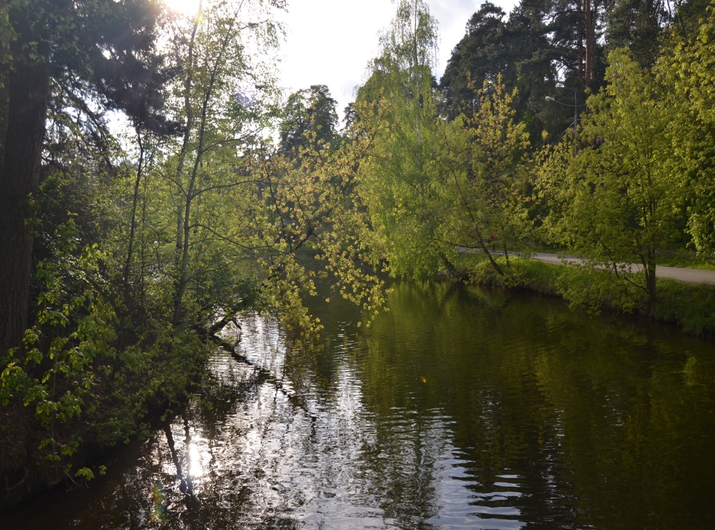 D:\Копия диска Д 01.03.2022 НЕ УДАЛЯТЬ!\Фото с никона\Сер Бор 9.05.24\DSC_7448.JPG