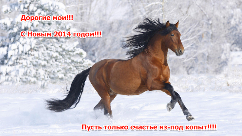 Голубая открытка к новому году - году лошади